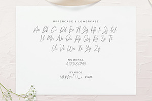 Abestuj - Script Font