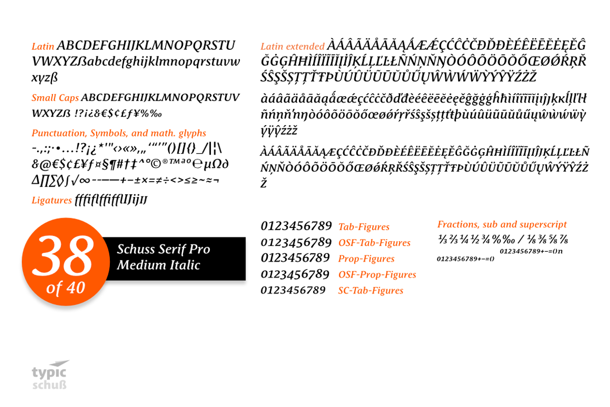 SchussSerifProMedIta No.38 (1 Font) preview 3
