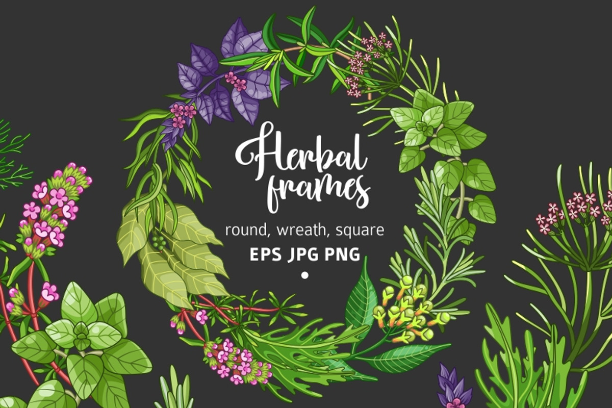 Green spices and herbs templates, a Food Illustration by Primula`s shop (Photo 1 of 4)