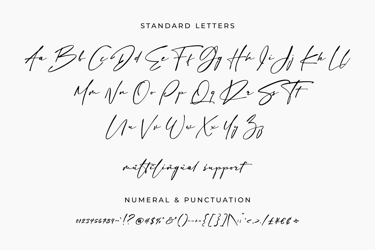 Sign Style – Elegant Signature Font, a Script Font by RedyStudio (Photo 13 of 15)