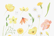 Wildflowers, poppies and herbs, a Food Illustration by astelenadesign (Thumbnail 2 of 19)