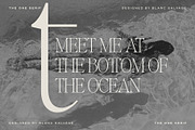 The One Editorial Serif, a Serif Font by Blanc Salváge (Thumbnail 3 of 18)