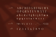 Rumiga Elegant Serif Font, a Serif Font by Perfectype (Thumbnail 7 of 8)