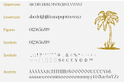 Partizeno Elegant/Branding Font, a Sans Serif Font by GraphicDash (Thumbnail 8 of 10)