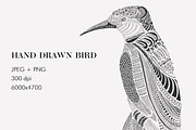 Hand Drawn Bird, an Illustration by set 1 (Thumbnail 1 of 4)