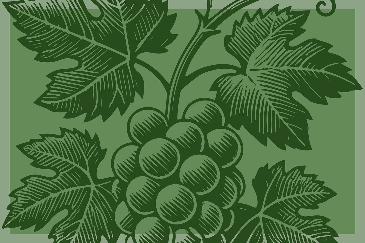 Woodcut-Style Wine Grapes, a Food Illustration by Electric Ink (Photo 2 of 2)
