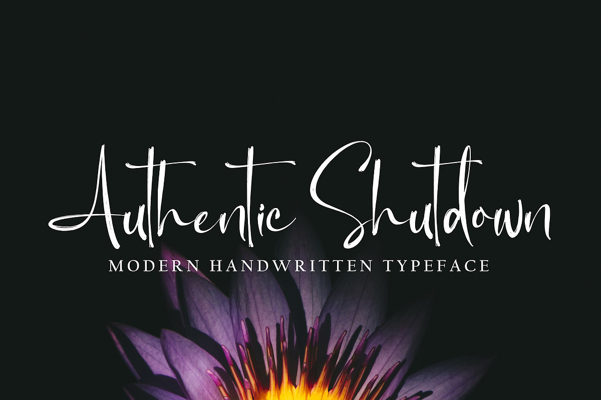Bird Ruth, a Handwritten Font by pineungtype (Photo 3 of 6)