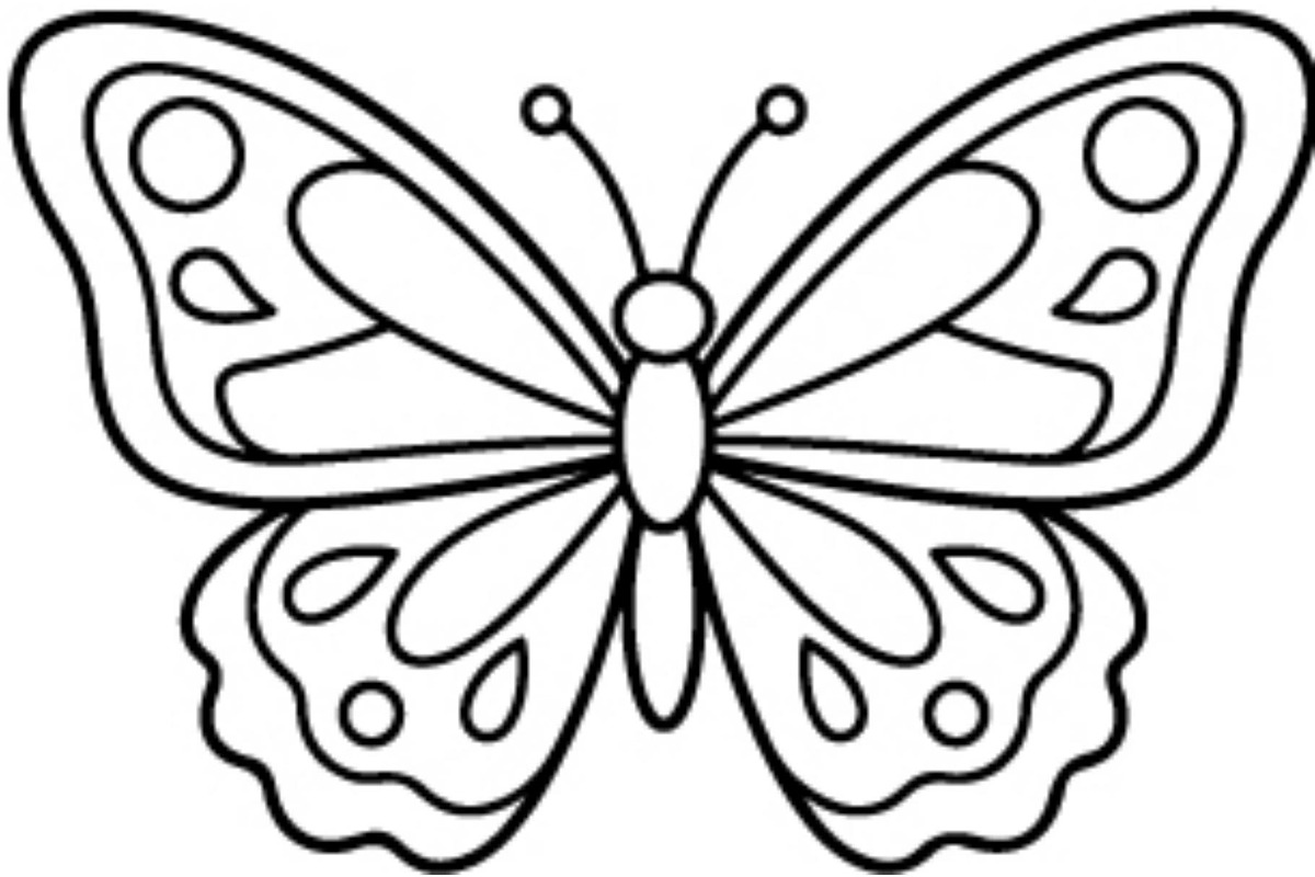 Butterfly SVG Bundle, an Object Graphic by Gfx_Store (Photo 7 of 16)