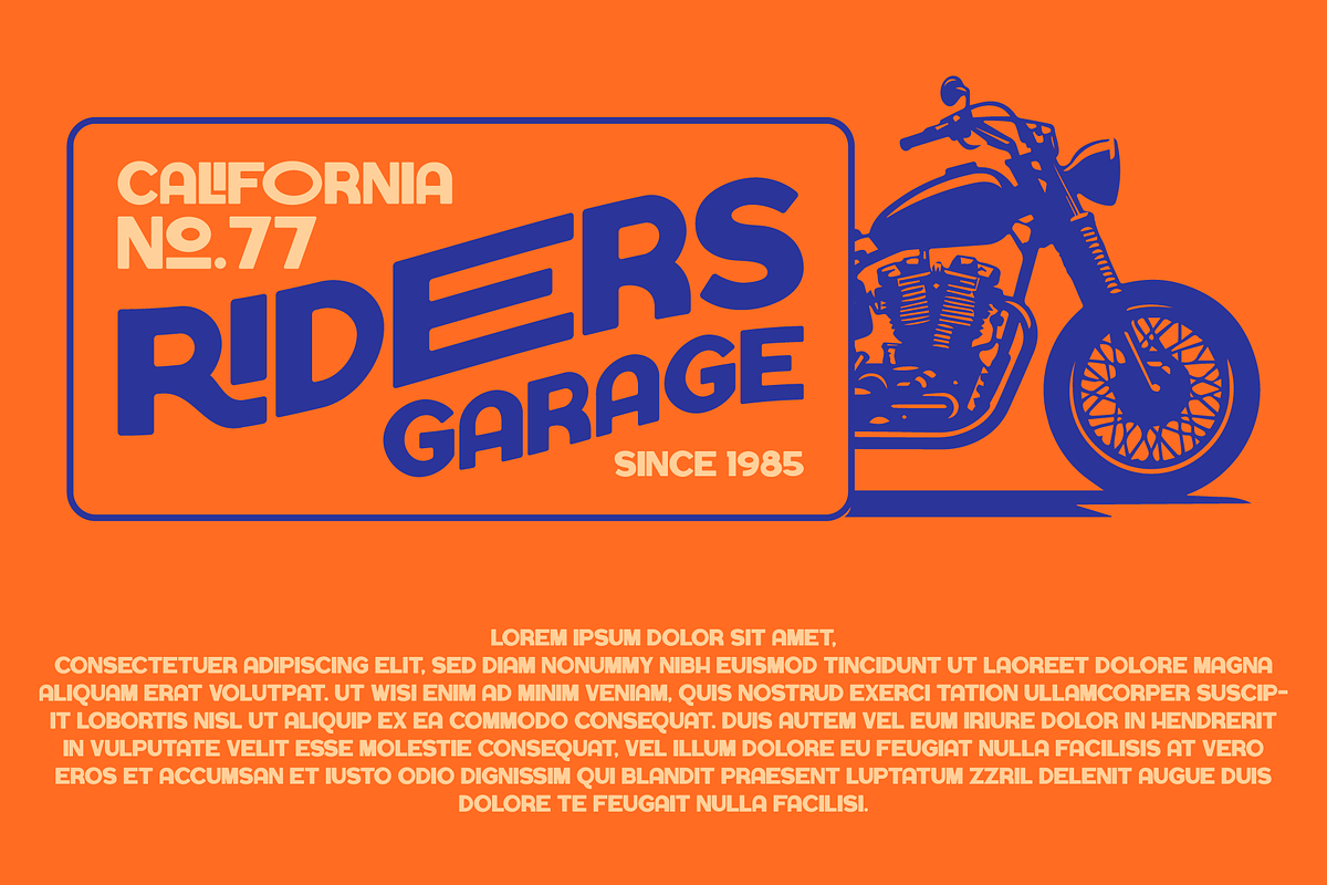 Dominion, a Sans Serif Font by Badsign Type (Photo 5 of 7)