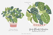 House Plants Collection Set II, a Graphic by SmallHouseBigPony (Thumbnail 15 of 21)