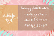 Wildaloney Script, a Script Font by akrtype (Thumbnail 7 of 7)