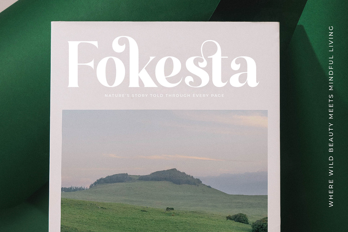Kindles Swifter Modern Serif Font, a Serif Font by timelesstype.co (Photo 14 of 20)