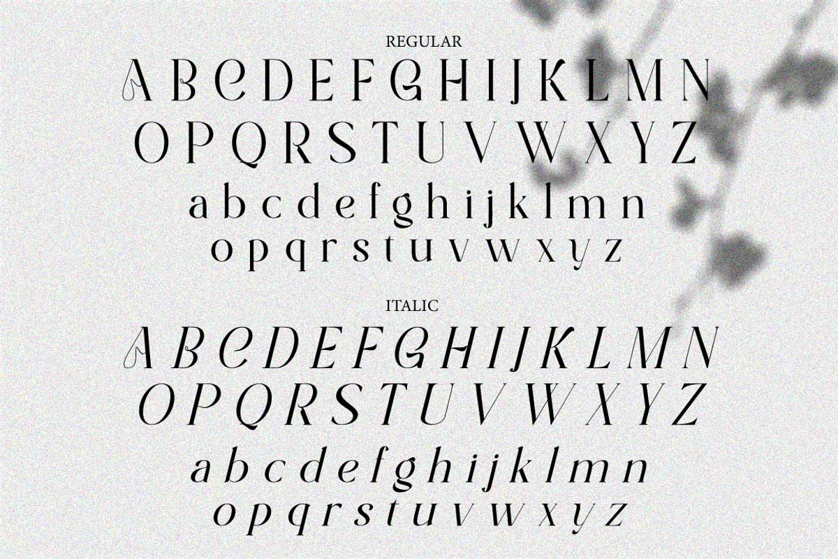 Half Love Serif Display Elegant, a Serif Font by Cut Story (Photo 12 of 14)