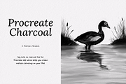 Procreate Charcoal Brush Set, a Brush Add-On by Brush Moment (Thumbnail 1 of 9)