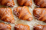 Mirage Silvesta, a Handwritten Font by Integritype Studio (Thumbnail 12 of 15)
