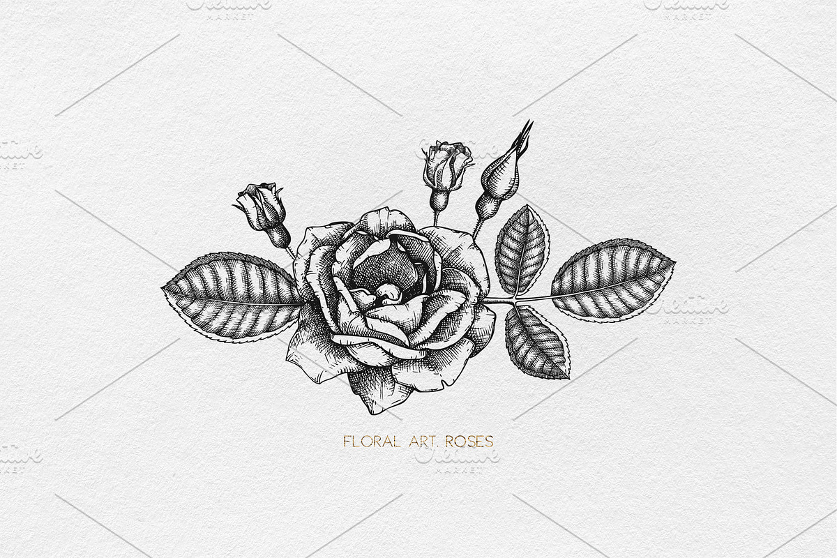 Hand-Drawn Roses Collection