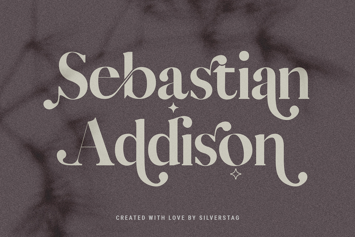 Vicky Christina Ligature Serif Font, a Serif Font by SilverStag Type Foundry (Photo 15 of 25)