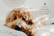 Hand Drawn Serif Font + Illustration, a Sans Serif Font by Irene Florentina Design (Thumbnail 2 of 8)
