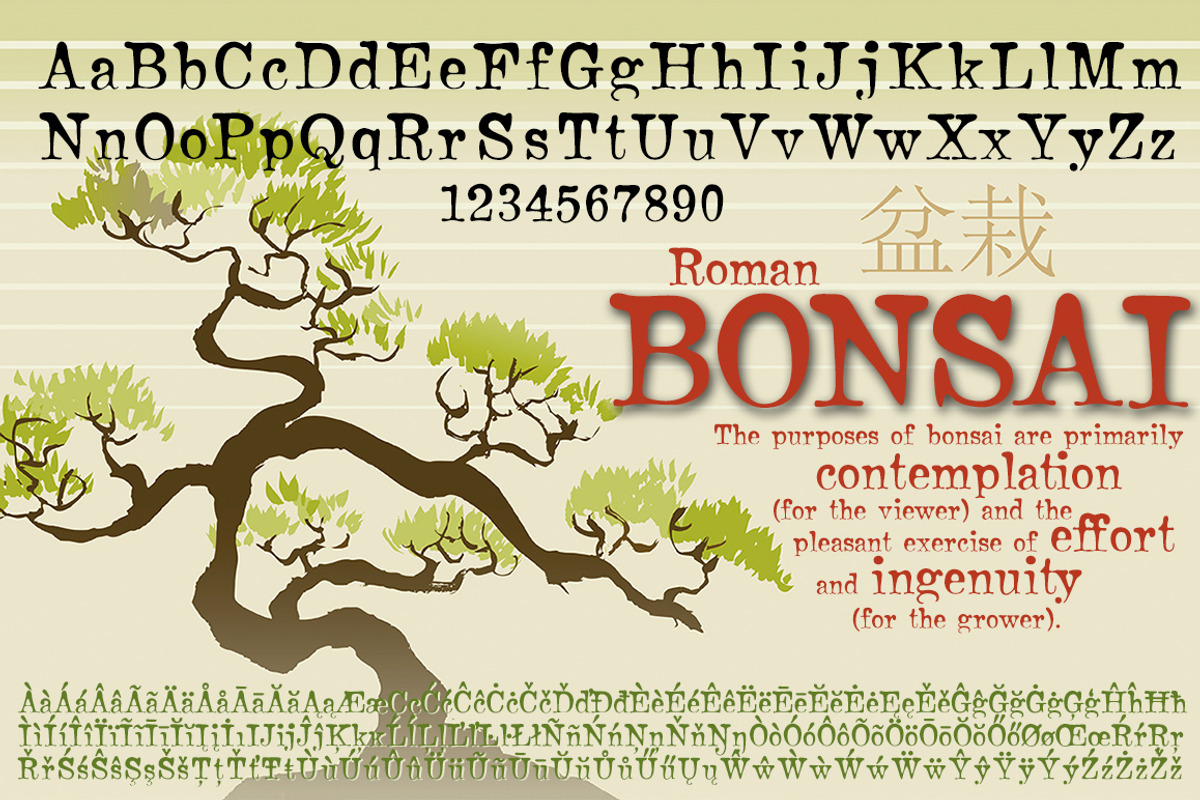 Bonsai Roman preview 4