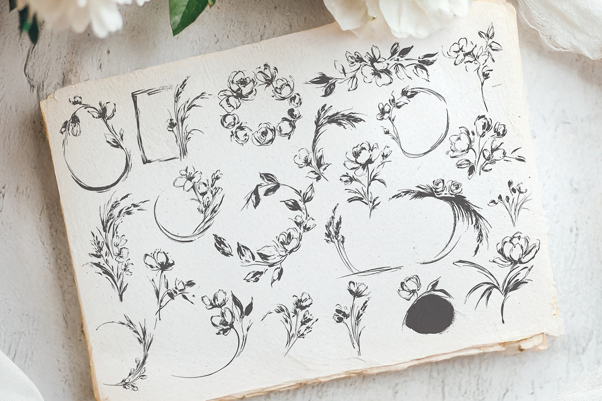 Botanical Sketch Flowers & Greenery, an Illustration by Tinydew (Photo 5 of 9)