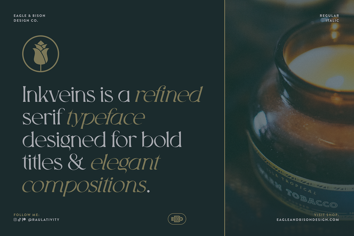 Inkveins - A Serif + Italic Font, a Serif Font by Eagle & Bison Design Co. (Photo 2 of 6)
