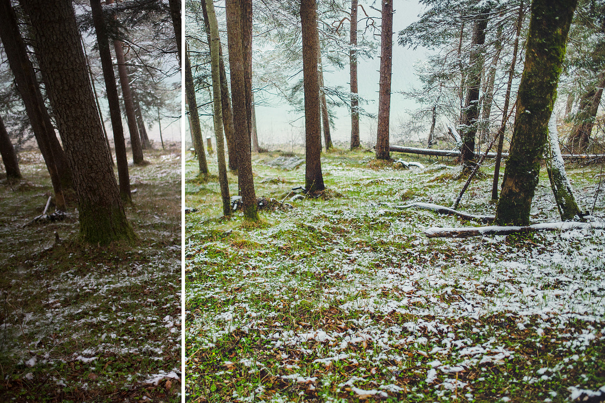MILLION OF GREEN-Set of 20presets Lr, an Action Add-On by Graphics, Presets, Photos (Photo 9 of 21)