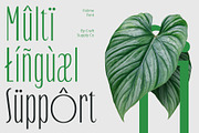Folime – Condensed Sans Serif, a Sans Serif Font by Craft Supply Co. (Thumbnail 5 of 8)