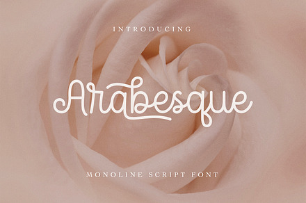 Arabesque Monoline Script Font, a Script Font by The Creative Bix