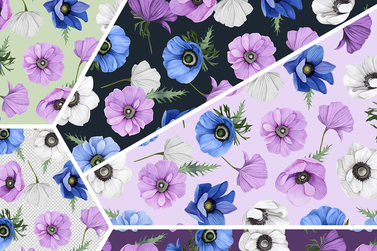 Audacious Arabella, a Decorative Illustration by Dana Designs (Photo 13 of 15)