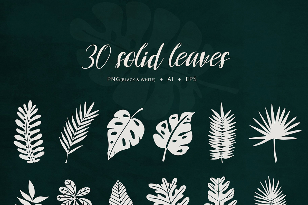 BOTANY BUNDLE - 6in1, a Food Illustration by amber&ink (Photo 15 of 19)
