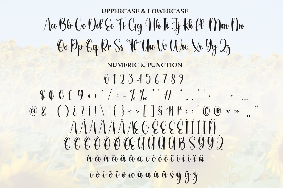 Sunflower | Script Font, a Handwritten Font by Scratchones (Photo 7 of 8)