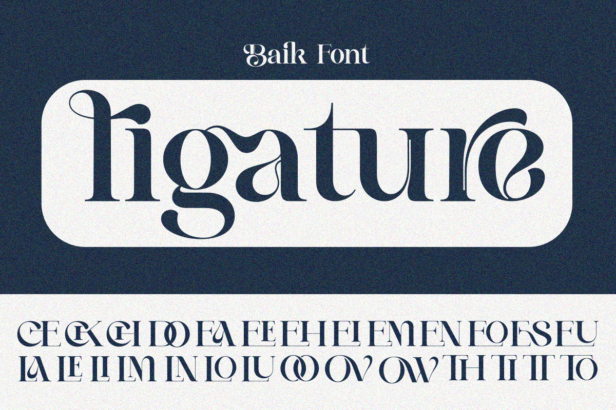Baik, a Serif Font by zaaintype (Photo 6 of 10)