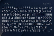 Randion, a Serif Font by StudioRhd (Thumbnail 13 of 14)