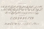 Carylin Millard, a Script Font by Patria Ari (P4tcreativa) (Thumbnail 11 of 12)