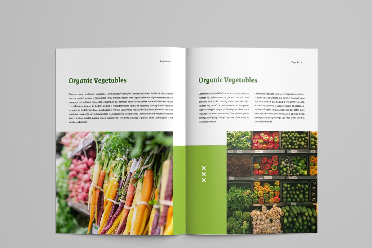 Agriculture Firm Company Profile, a Brochure Template by mijli (Photo 6 of 11)