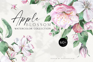 Apple Blossom