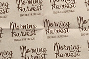 Mandragia Handcrafted Script, a Script Font by Littlehand (Thumbnail 6 of 9)