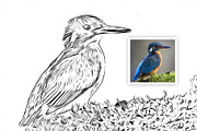 Sketch Oil painting, an Action Add-On by DesignCave (Thumbnail 5 of 5)