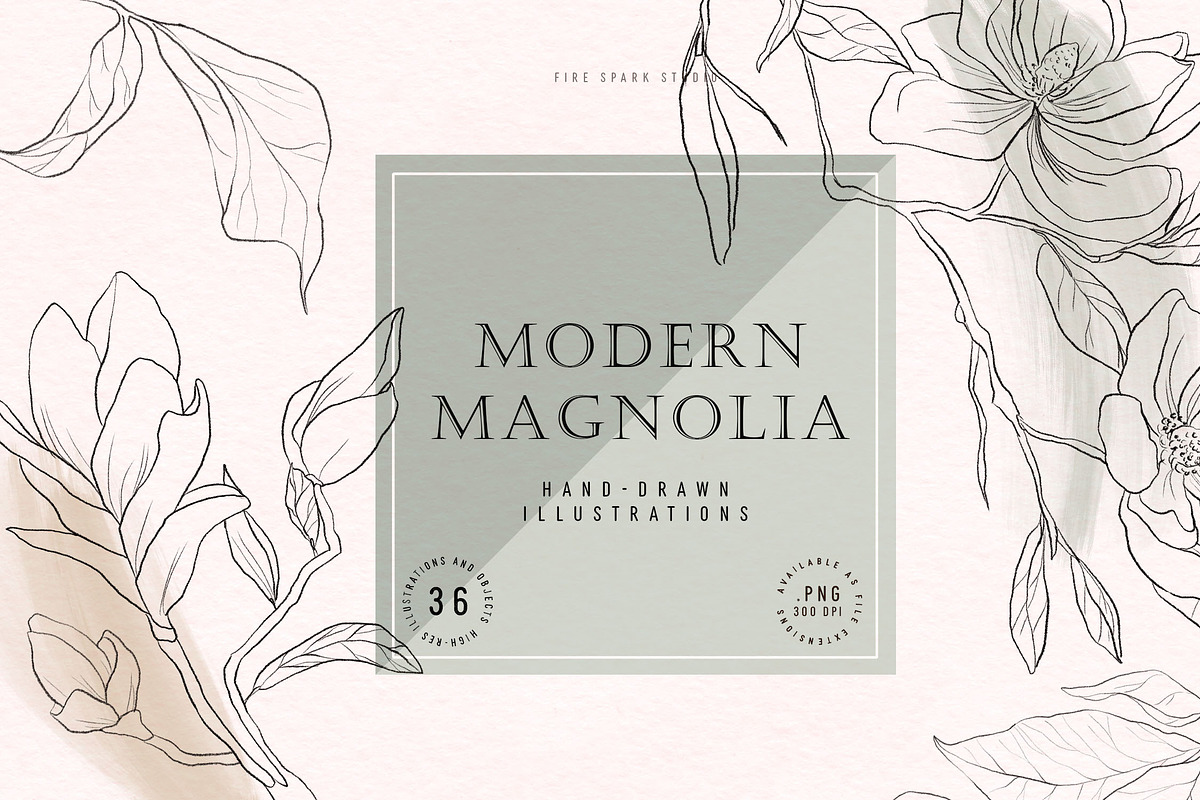 Modern Magnolia Floral Illustrations, an Illustration by Fire Spark Studio (Photo 1 of 9)