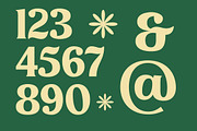 Milan Wulko Alternate Bold Serif, a Serif Font by timelesstype.co (Thumbnail 5 of 20)