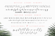 Divine Light Font Duo and extras, a Script Font by BlackCatsMedia (Thumbnail 7 of 11)