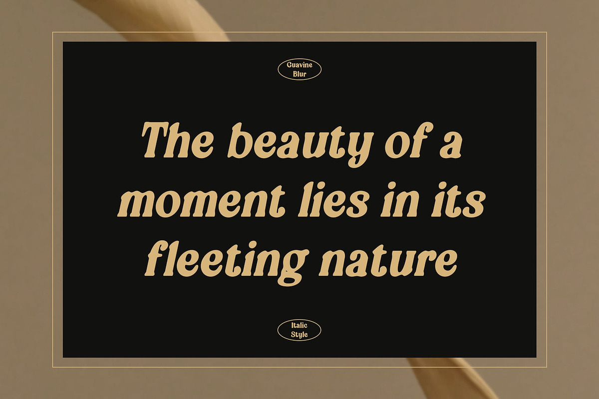 Guavine Blur, a Serif Font by Craft Supply Co. (Photo 2 of 8)