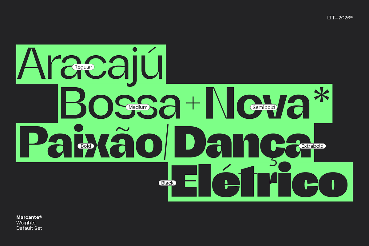 Marcante - Intro Family 60% off, a Sans Serif Font by Latinotype (Photo 8 of 17)