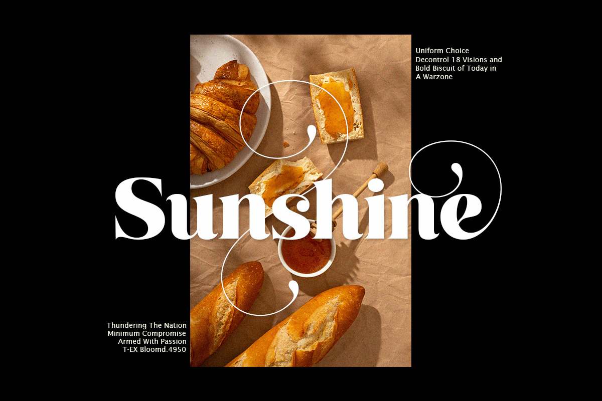 Display Series, a Serif Font by Attract Studio (Photo 11 of 15)