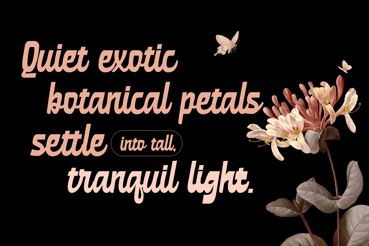 MN Jaybird - Bold Retro Script Font, a Script Font by Mantra Naga (Photo 9 of 18)