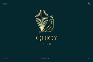 QUICY Logo Template