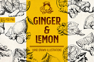 Ginger & lemon. Ink engraving set