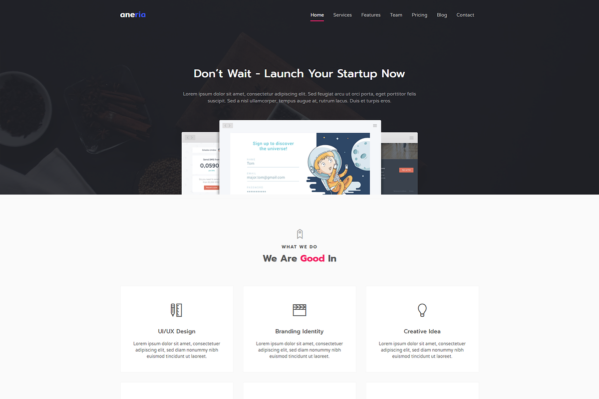 Aneria - Landing Page Template, a HTML Template by Pichforest Studio (Photo 3 of 3)