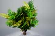 Pinanga coronata, an Environmental 3D Model by AndrewWhite (Thumbnail 23 of 25)