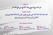 Lemon Brush Arabic | Brush Font, a Handwritten Font by Namela Studio (Thumbnail 5 of 8)